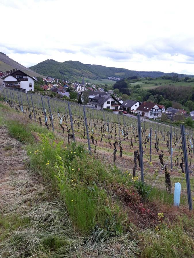 Ferienwohnung Saarblick Ockfen Exterior foto